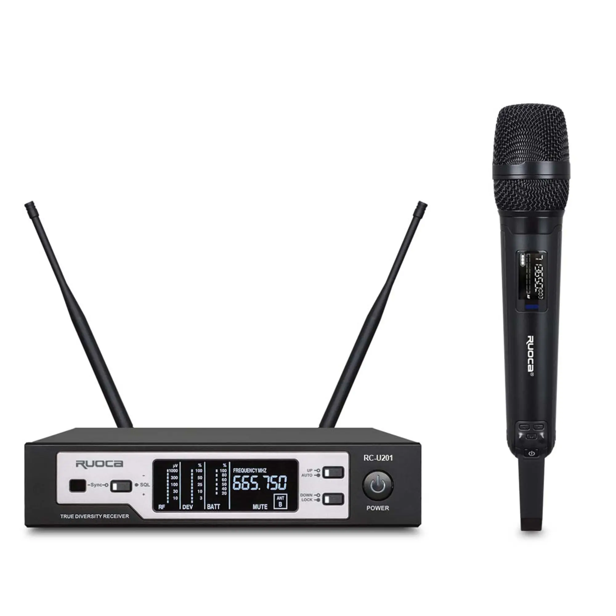 Custom RC-U201-Ruoca Professional Dual Channel Wireless Microphone Suppliers, Exporter