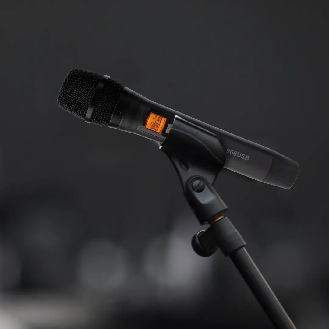 Mic Detail