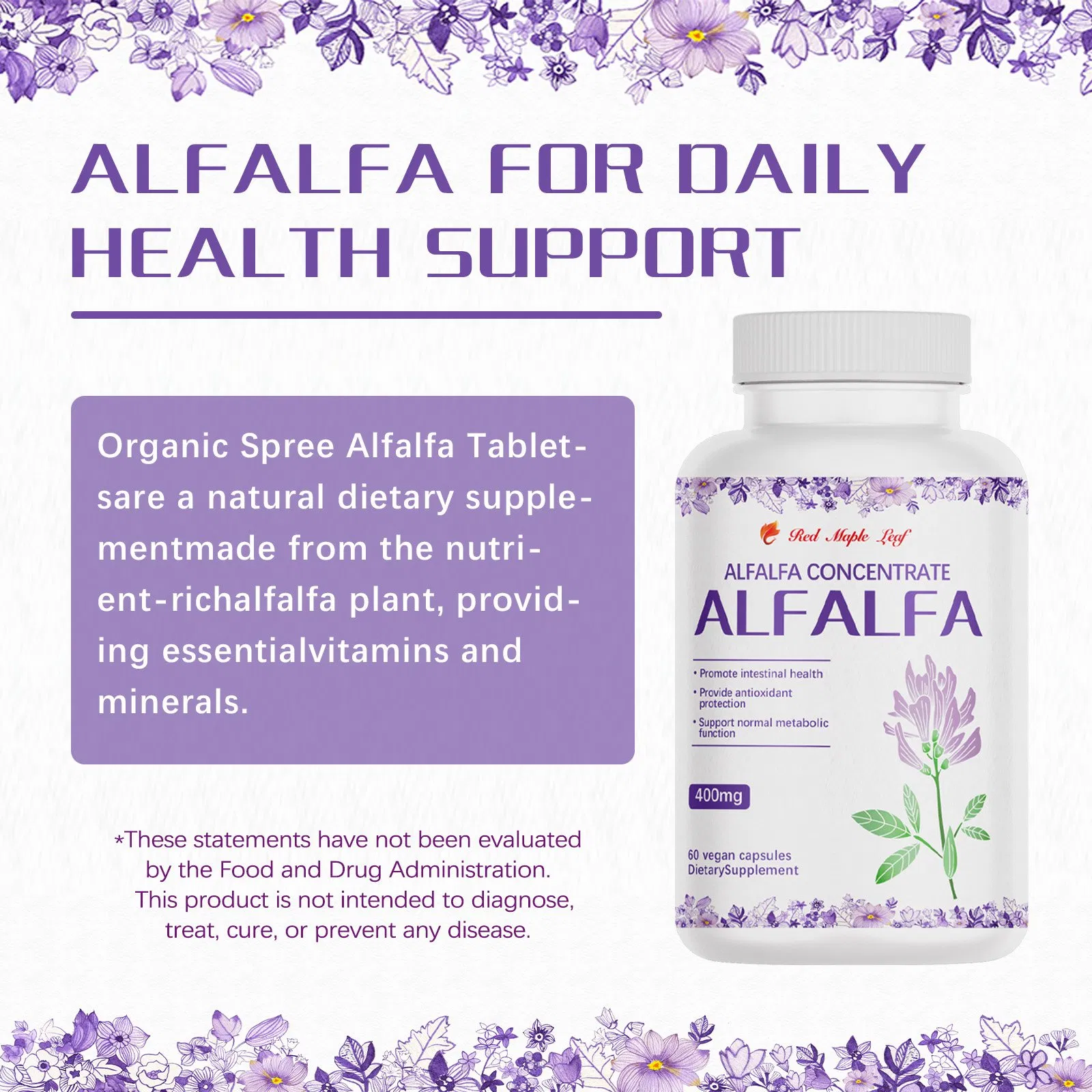 Cápsulas Veganas de Concentrado de Alfafa - Suplemento Dietético Natural para Saúde Intestinal e Suporte Antioxidante