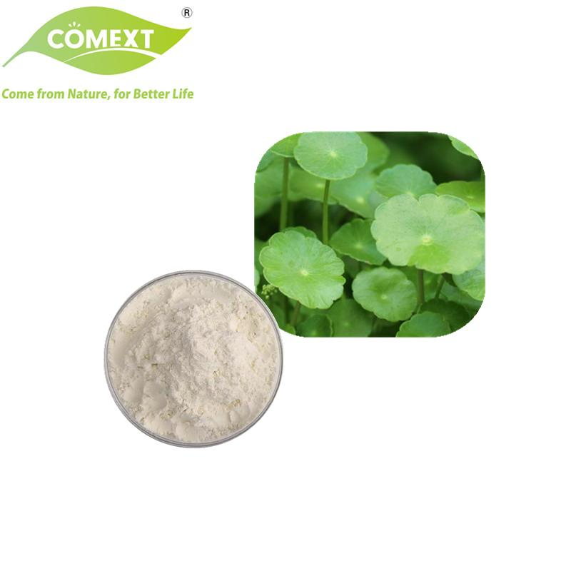 Amostra Grátis Comext Fábrica Direta Extrato de Planta 10%-95% Asiaticosídeo Extrato de Centella Asiática em Pó para Cuidados com a Pele
