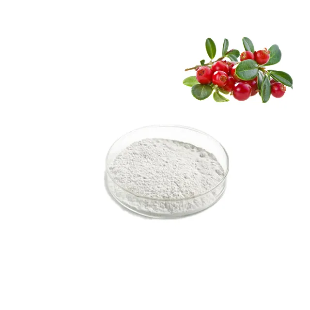 Extrato de Arbutina para Soluções Naturais de Clareamento 99%