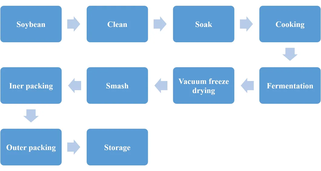 Processo de Produção de Nattokinase