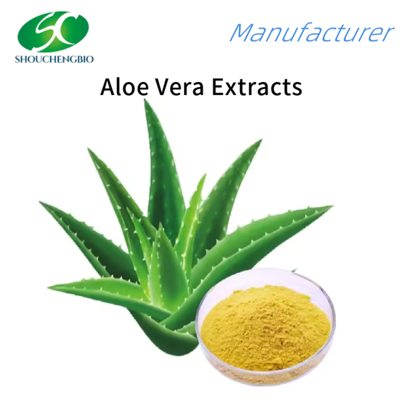 Extrato de Aloe Vera de Grau Alimentício Puro para Cuidados Naturais com a Pele