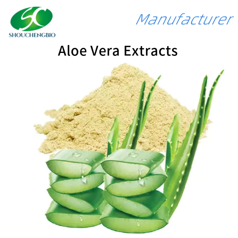 Extrato de Aloe Vera de Grau Alimentício Puro para Cuidados Naturais com a Pele