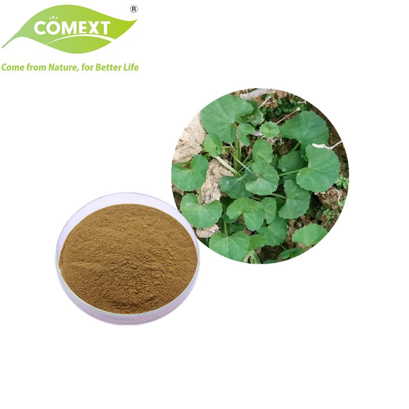 Amostra Grátis Comext Fábrica Direta Extrato de Planta 10%-95% Asiaticosídeo Extrato de Centella Asiática em Pó para Cuidados com a Pele