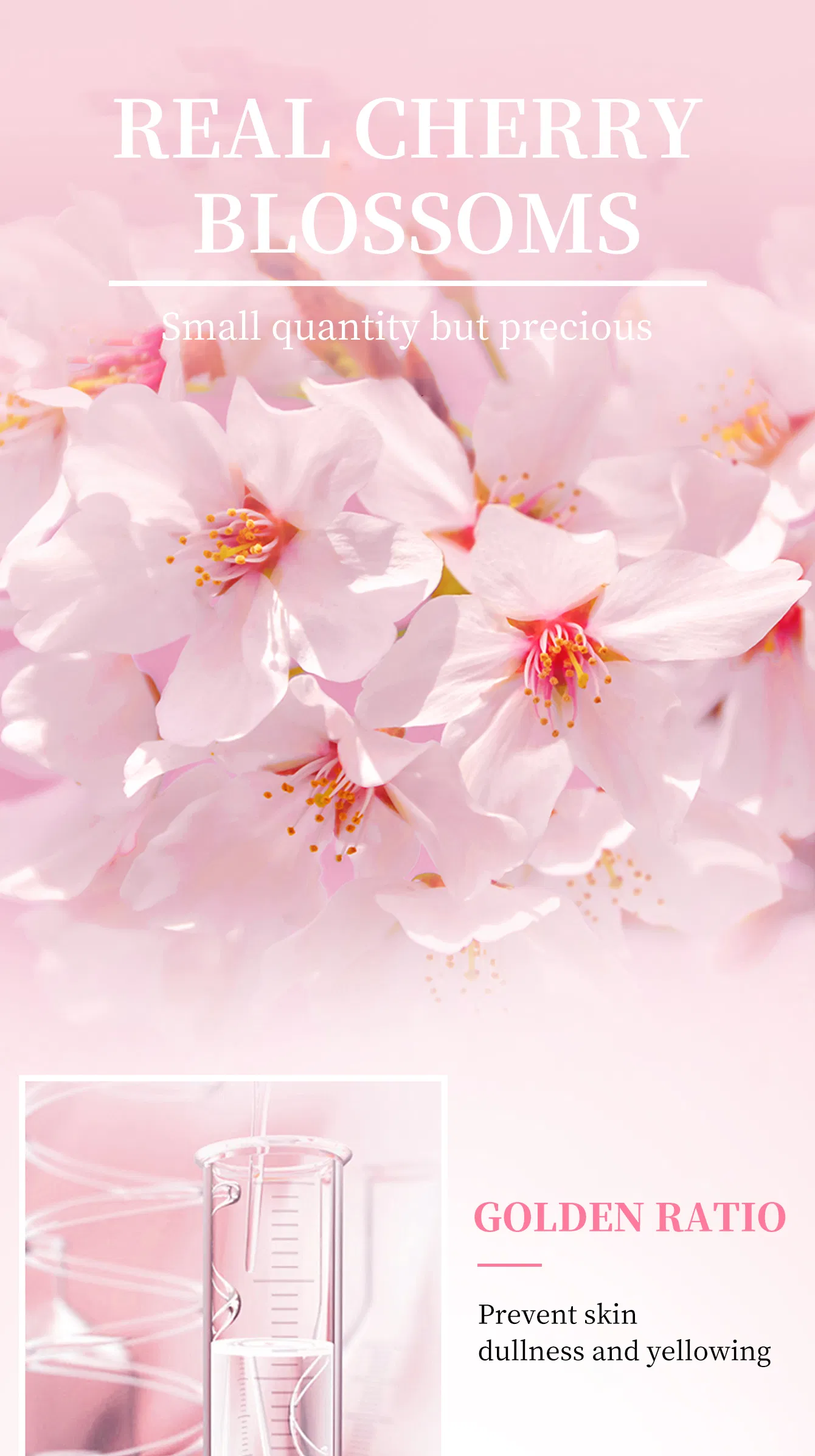 Uniformiza o tom de pele irregular, firma a pele, acalma a sensibilidade, repara a barreira cutânea danificada, sérum facial de sakura