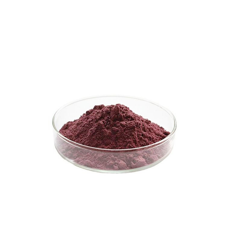 Pó de Alquimila de Lithospermum Root-1%-30% Extrato Padronizado para Cuidados com a Pele