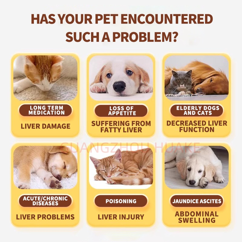 Suplemento Potente de Desintoxicação Hepática para Cães e Gatos com Propriedades Antioxidantes e Anti-inflamatórias ODM