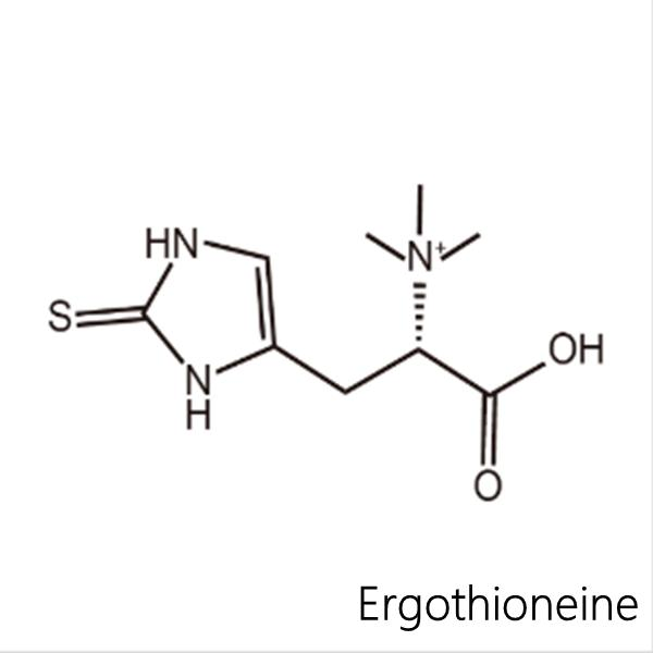 Ergothioneine em pó para atacado 99% Ingrediente de cuidados com a pele natural Ergothioneine