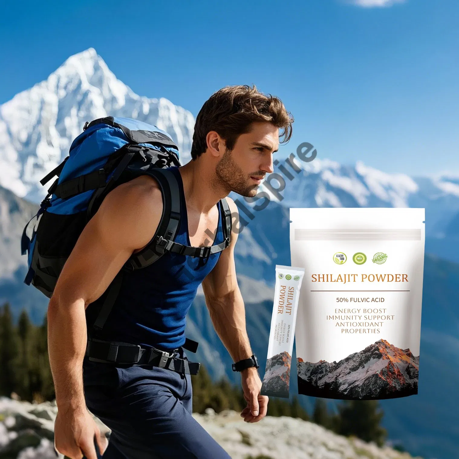 Pasta Mineral Shilajit Pacote Natural Imunidade Energia Antioxidante Suplemento Funcional