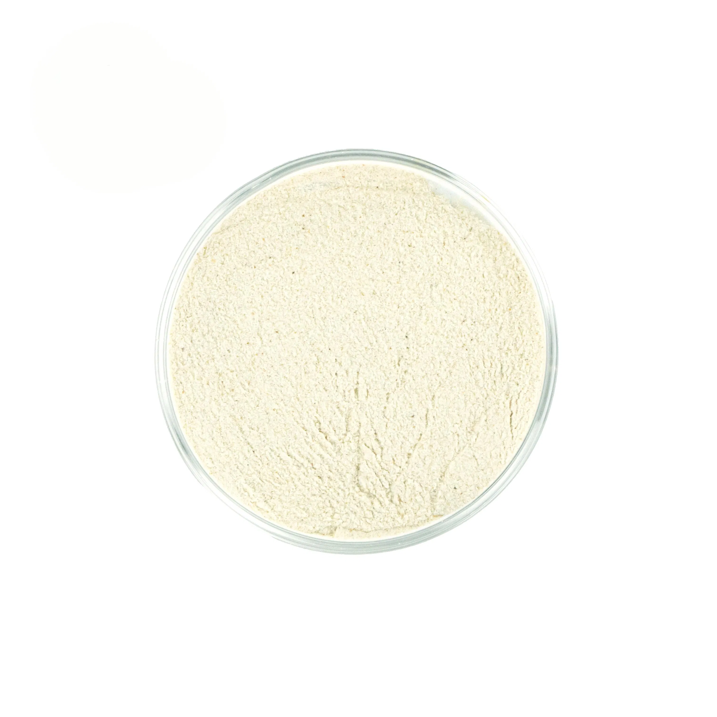Atacado 99% Pó de Proteína de Soro de Leite Hidrolisado Padrão Ouro para a Pele Pó de Proteína de Soro de Leite