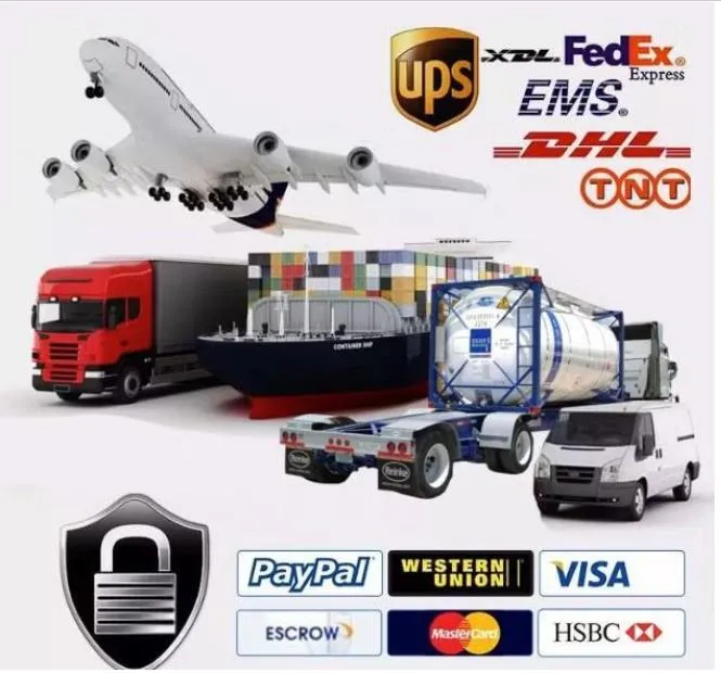 Processo de Envio