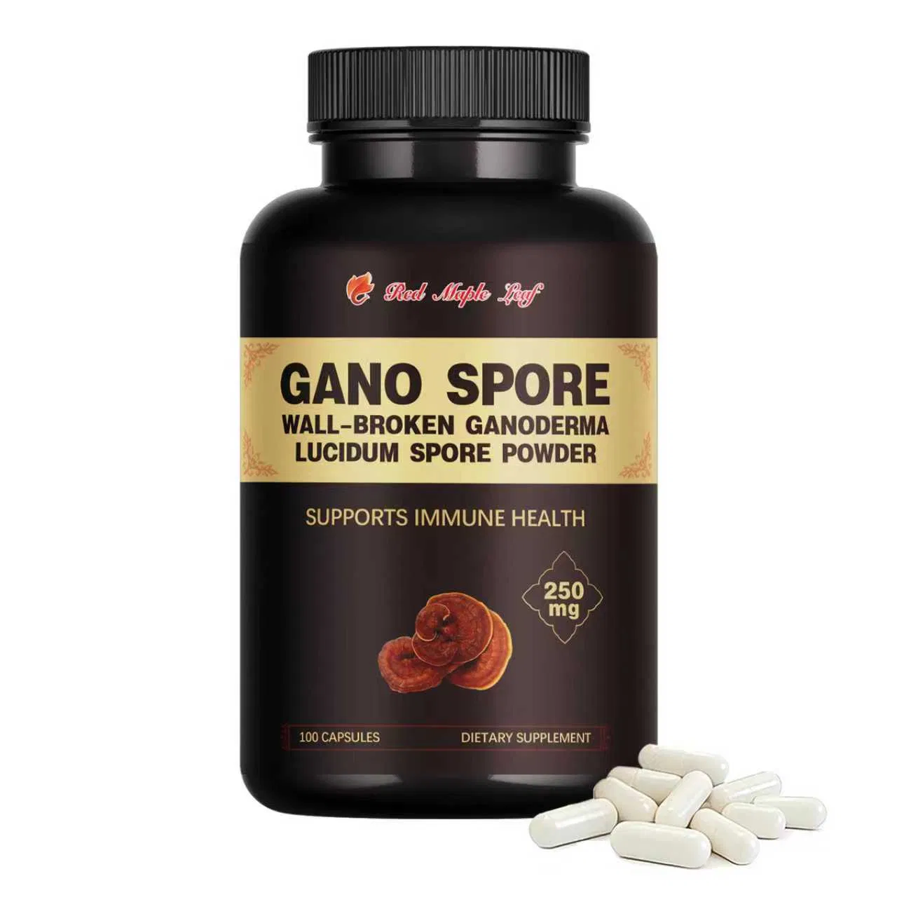Cápsulas de Esporos Gano - Ganoderma Lucidum Quebrado para Suporte Imunológico, Sono e Energia