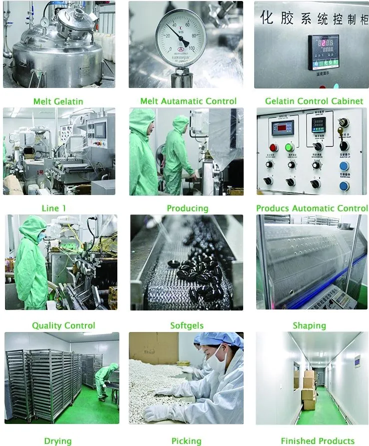Instalações de produção de cápsulas de gel