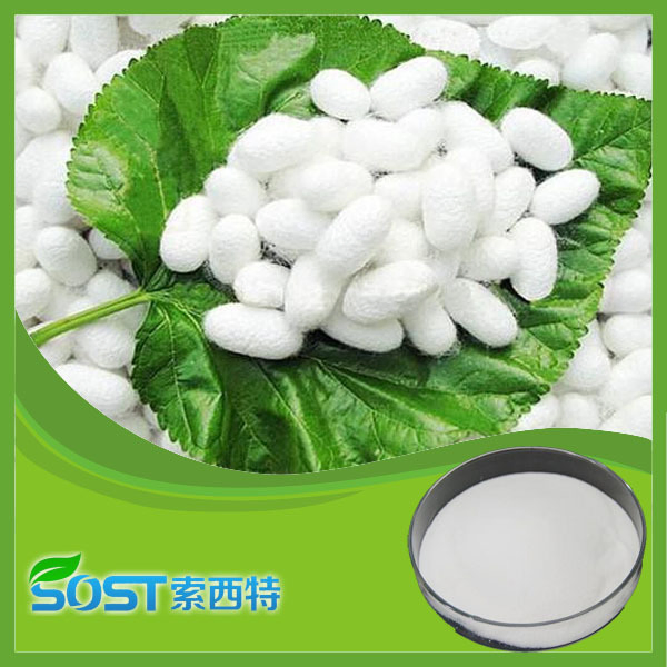 Pó de Proteína de Peptídeos de Seda para Cuidados com a Pele Natural