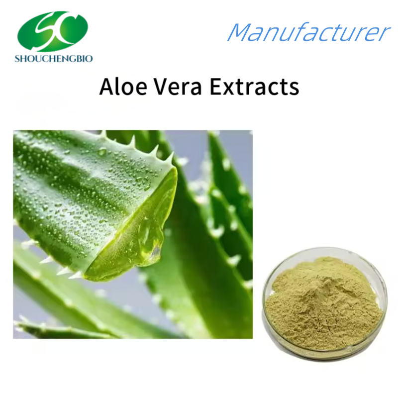 Pó de Extrato de Aloe de Alta Qualidade para Cuidados Naturais com a Pele