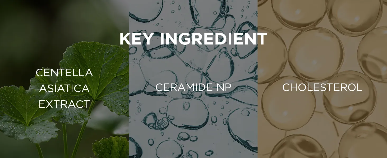 Creme Facial Reparador da Barreira da Pele de Centella Asiática