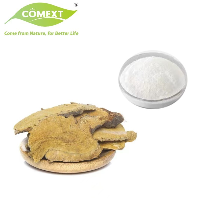 Comext Fssc Fábrica da China Amostra Grátis HPLC 50% 98% Extrato em Pó de Planta de Erva Natural Polygonum Cuspidatum Knotweed Gigante Antioxidante Resveratrol para Cuidados com a Pele