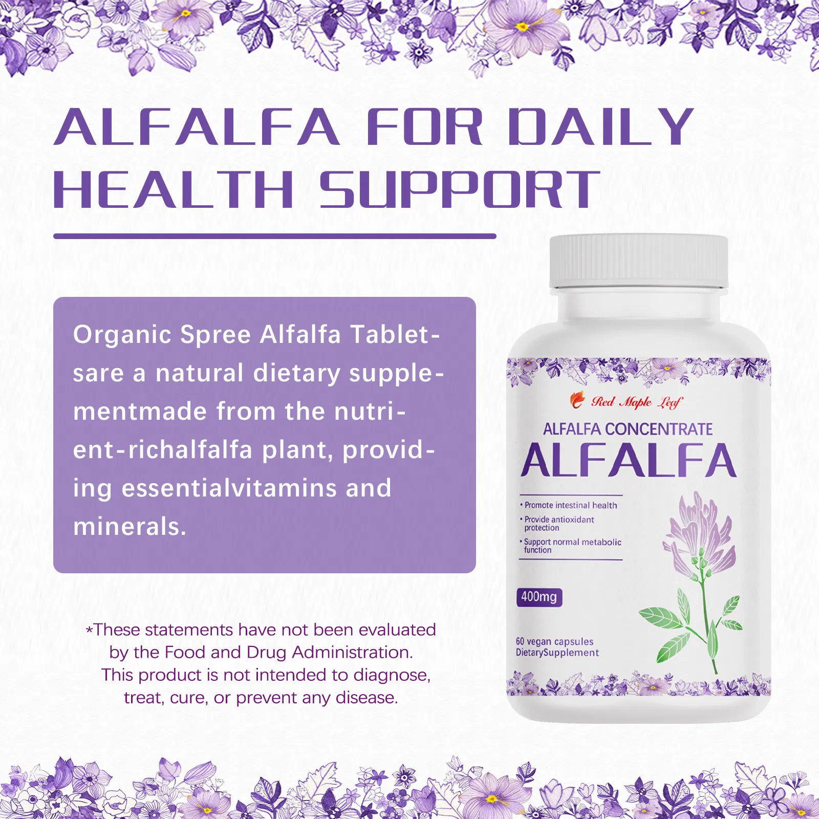 Cápsulas Veganas de Concentrado de Alfafa - Suplemento Dietético Natural para Saúde Intestinal e Suporte Antioxidante