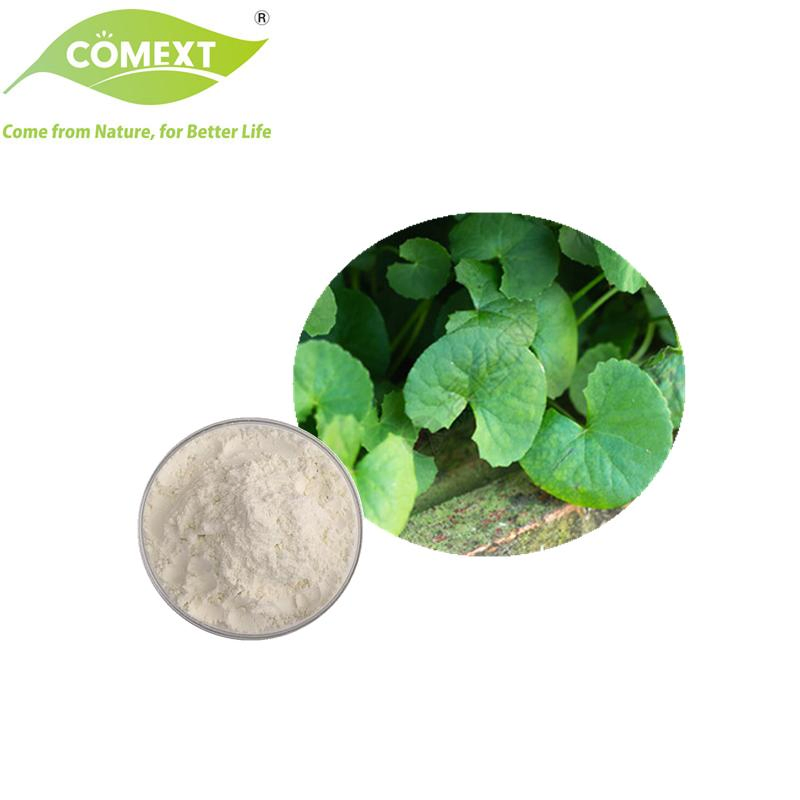 Amostra Grátis Comext Fábrica Direta Extrato de Planta 10%-95% Asiaticosídeo Extrato de Centella Asiática em Pó para Cuidados com a Pele