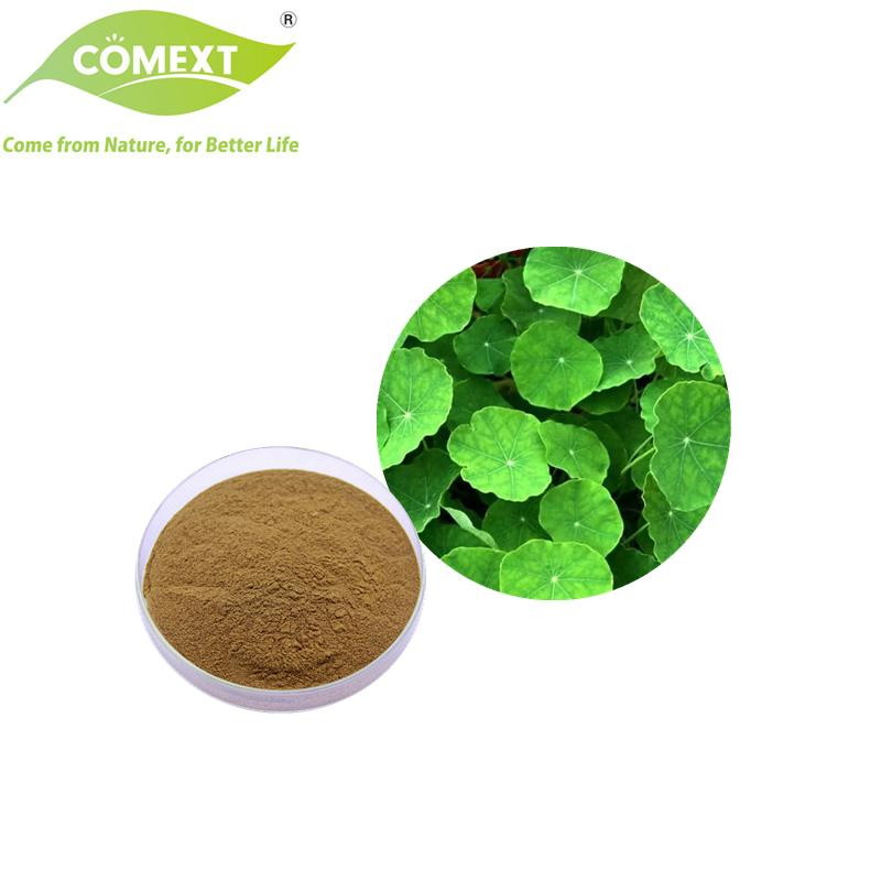 Amostra Grátis Comext Fábrica Direta Extrato de Planta 10%-95% Asiaticosídeo Extrato de Centella Asiática em Pó para Cuidados com a Pele