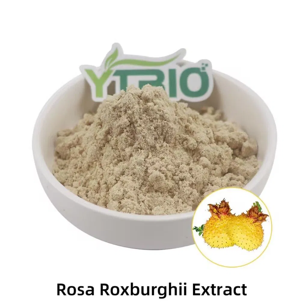 Extrato em Pó de Rosa Roxburghii Ytbio 10000 SOD para Cuidados com a Pele