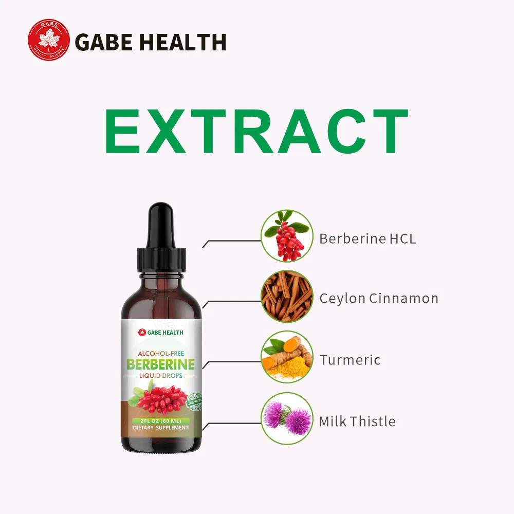 Extrato Natural de Berberina em Gotículas Líquidas Suplemento Herbal Nutriente Equilibra a Saúde Intestinal e Cardiovascular