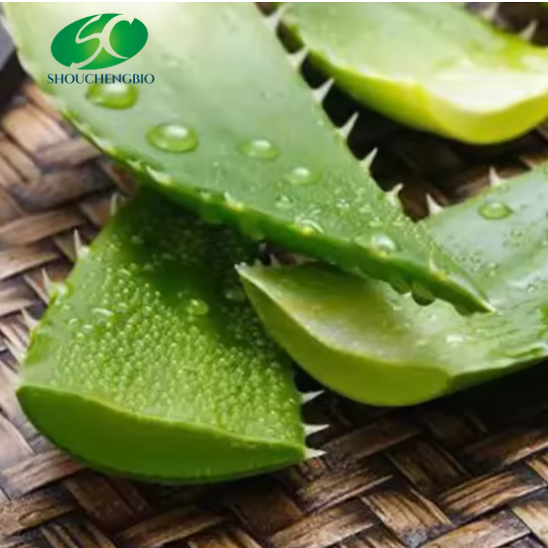 Extrato de Aloe Vera de Grau Alimentício Puro para Cuidados Naturais com a Pele