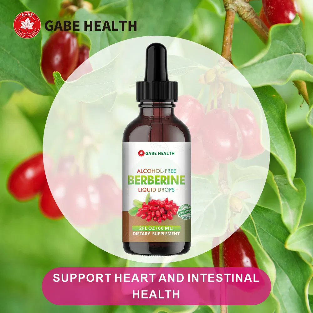 Extrato Natural de Berberina em Gotículas Líquidas Suplemento Herbal Nutriente Equilibra a Saúde Intestinal e Cardiovascular