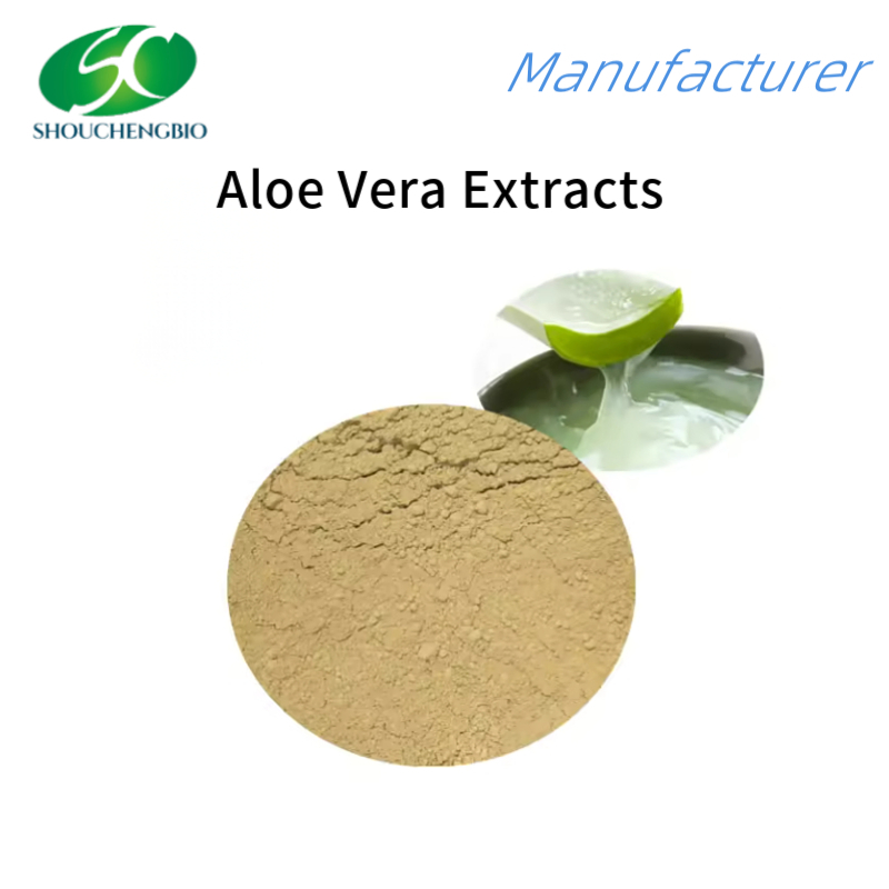 Extrato de Aloe Vera de Grau Alimentício Puro para Cuidados Naturais com a Pele