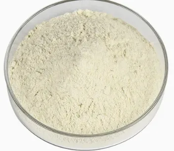 Suplementos de proteína em pó de soro de leite para ganho de peso muscular forte