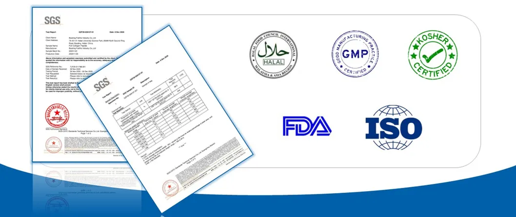 Certificação e Pesquisa Científica
