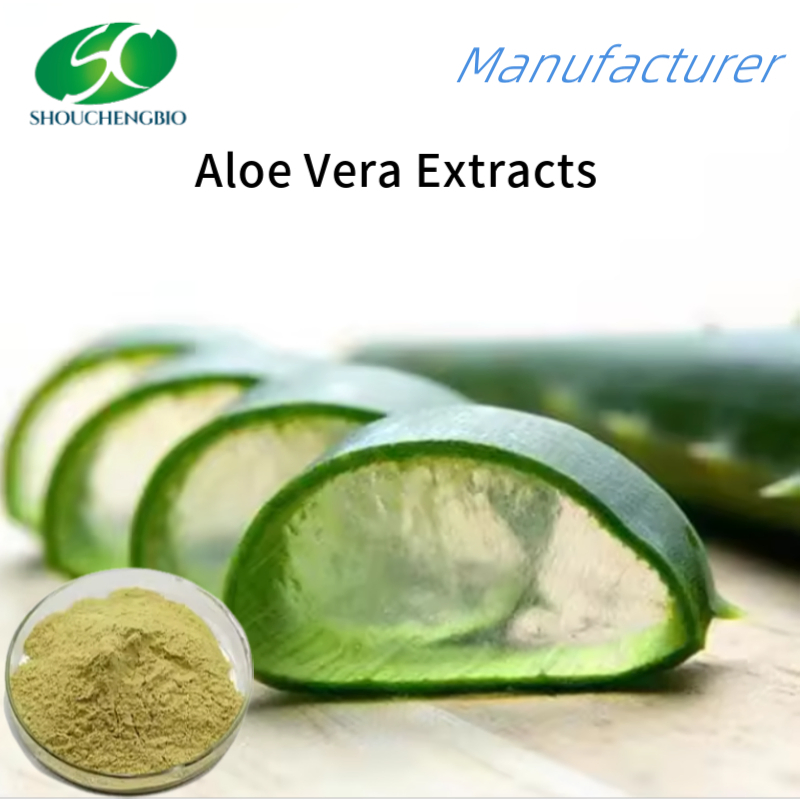 Pó de Extrato de Aloe de Alta Qualidade para Cuidados Naturais com a Pele