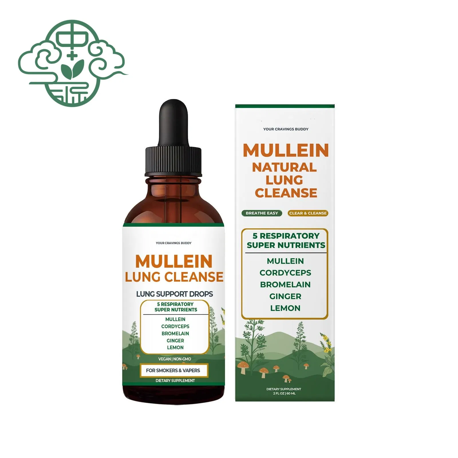 Extrato de planta de bem-estar mundial, pó de moringa antioxidante, anti-inflamatório, suplemento de ingredientes naturais de moringa