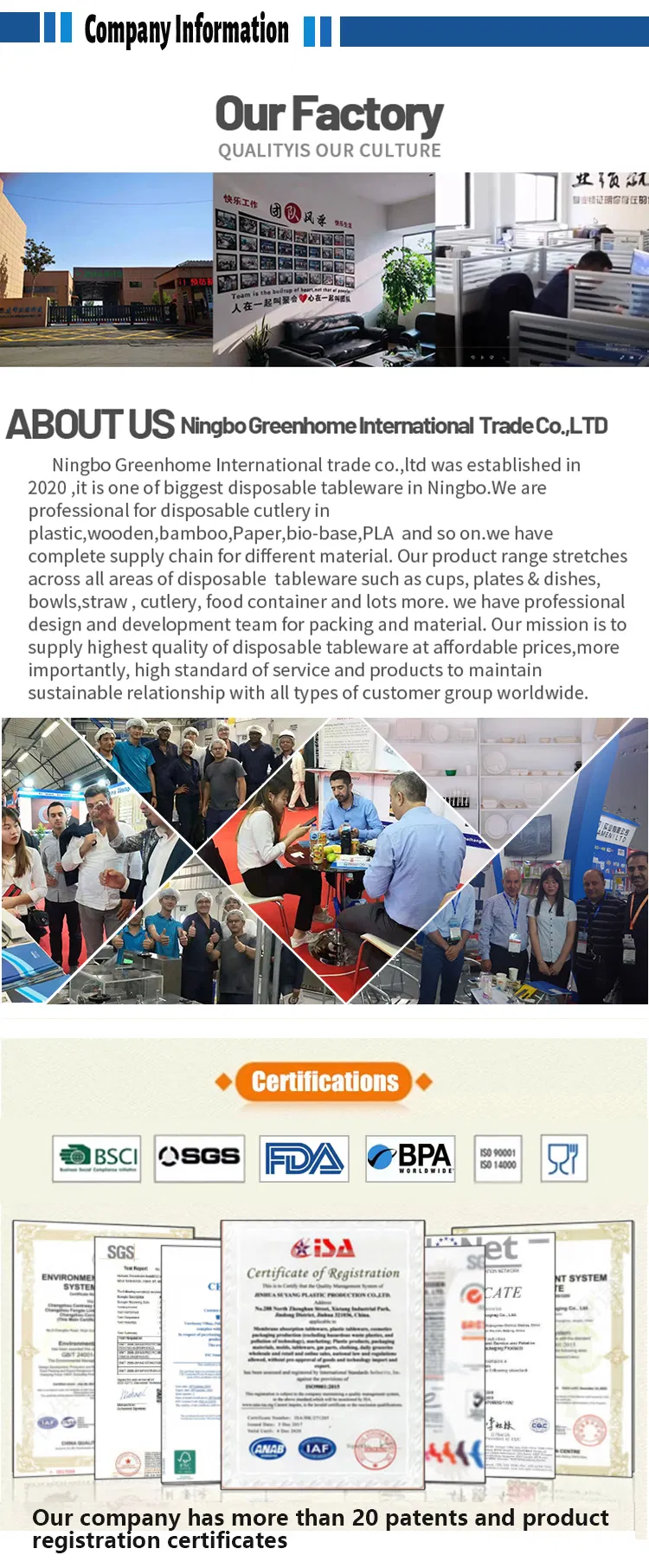 Disposable Dinner Plates