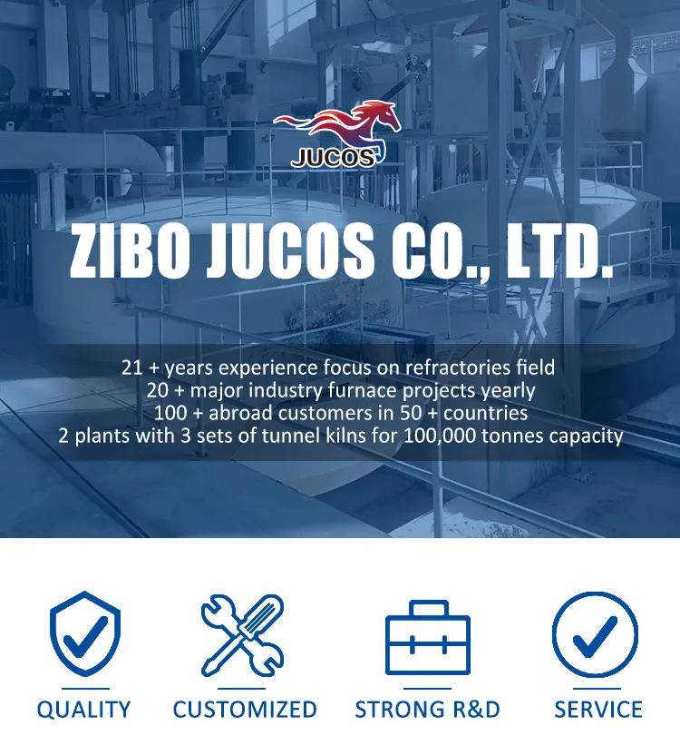 Ceramic Raw Material Wear Plate