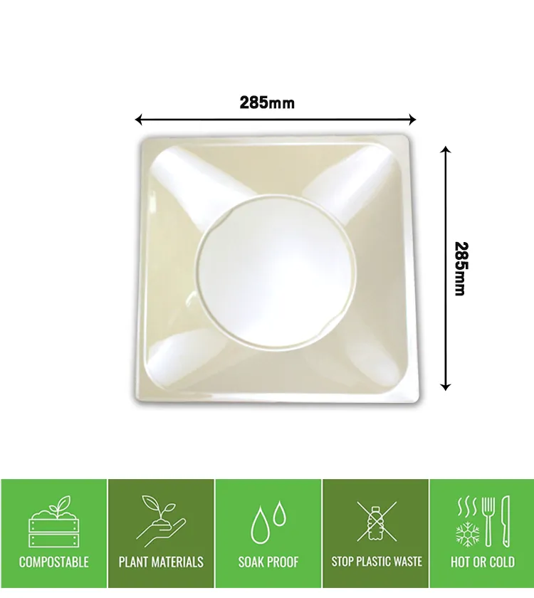 Disposable Dinner Plates