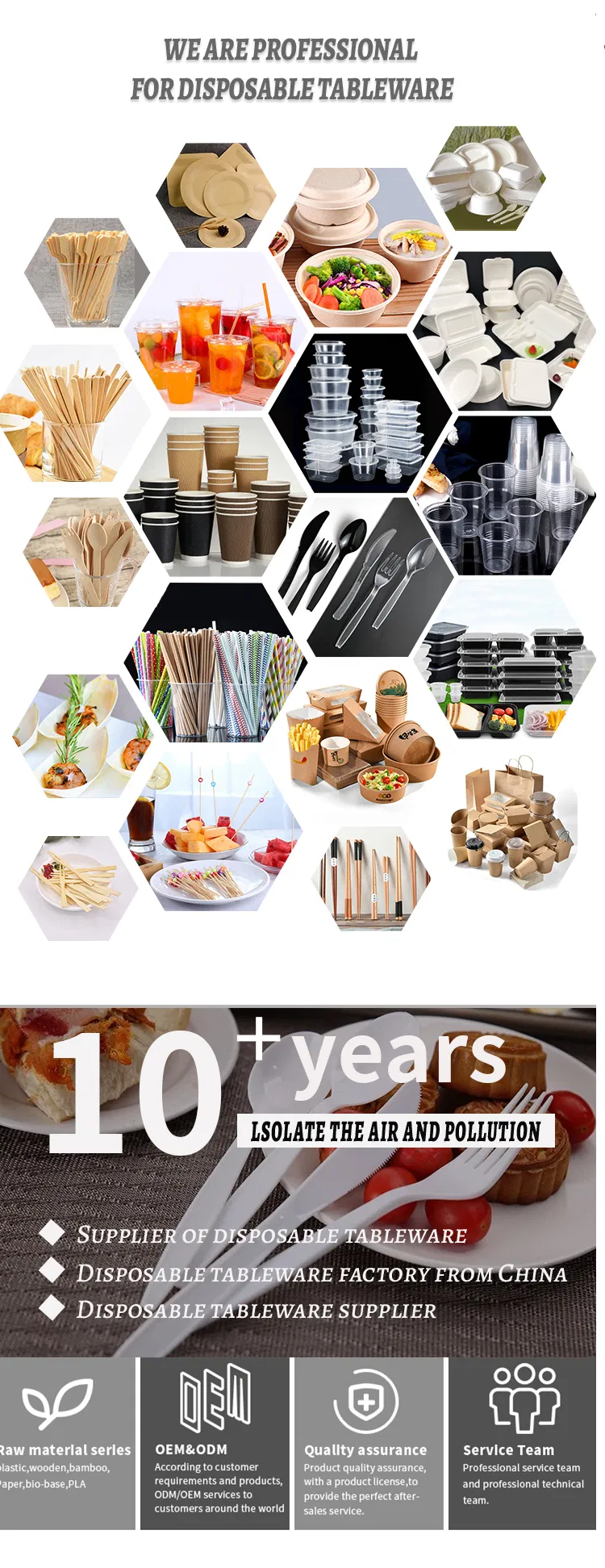 Disposable Dinner Plates