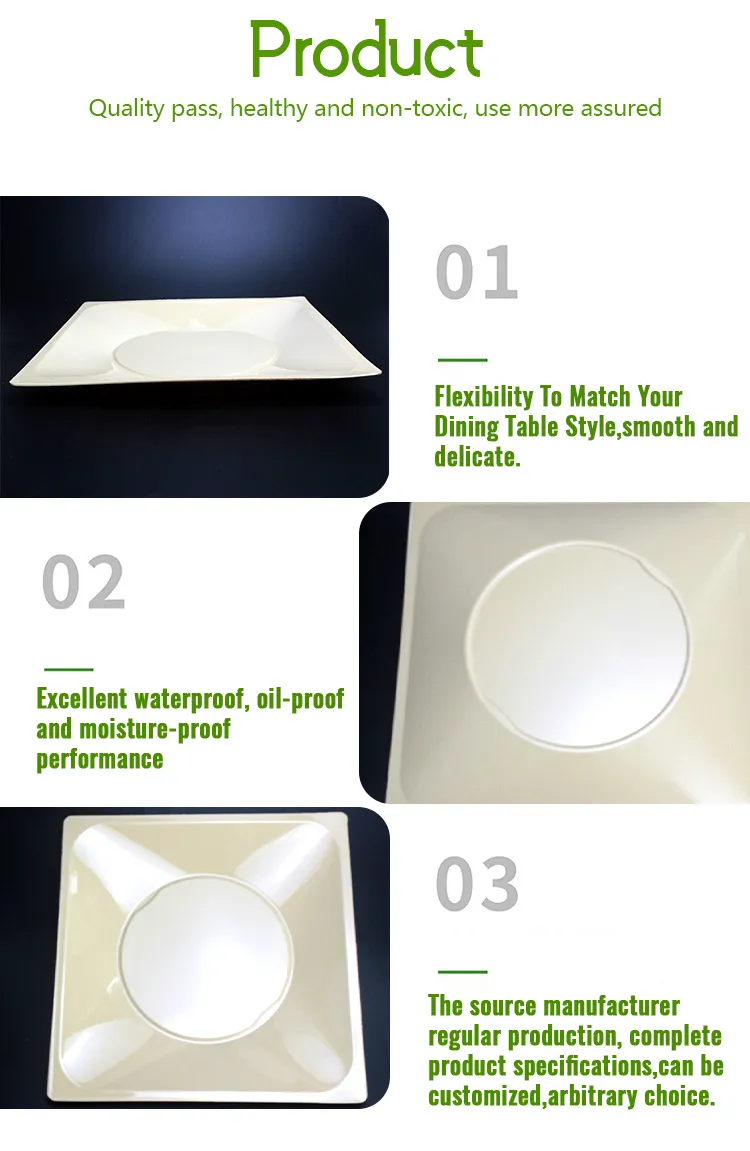 Disposable Dinner Plates