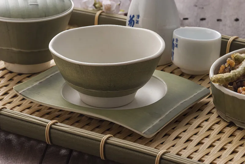 Melamine Bowl View 5