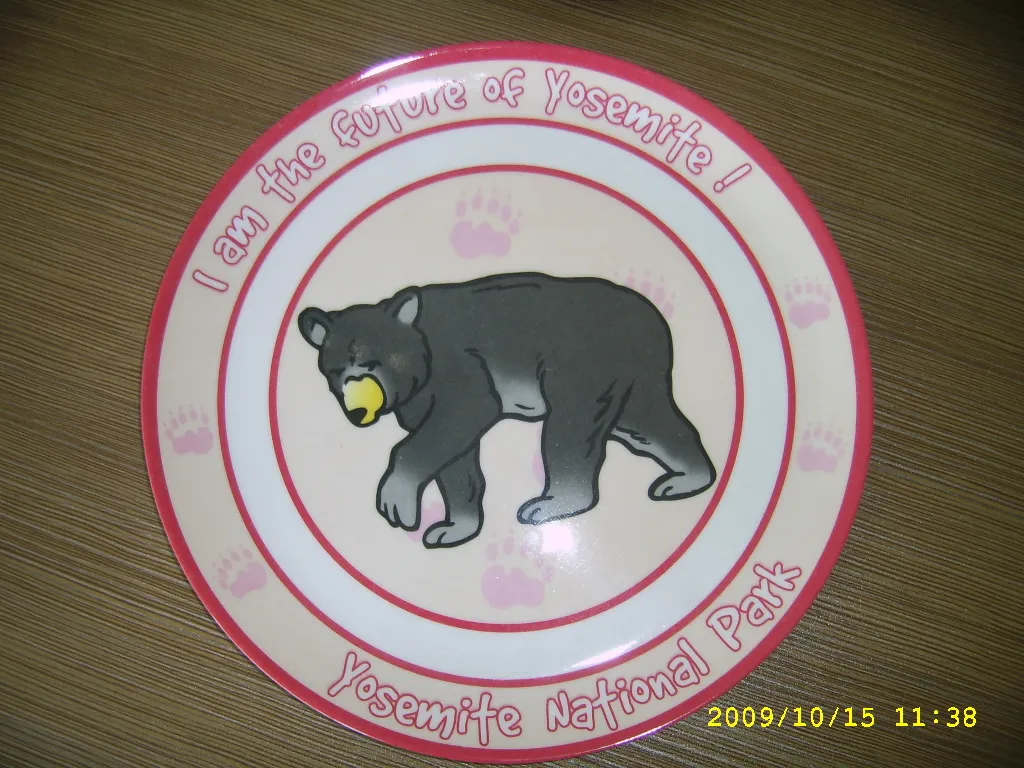 Professional Catering Dinnerware