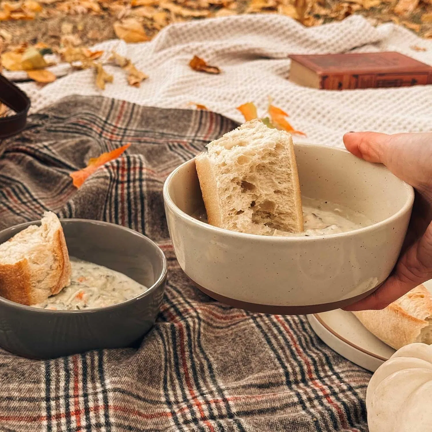 Ceramic Flat Bowls Set of 4-25 Oz- for Soup Salad, Rice Cereal, Breakfast Dinner Serving Oatmeal etc - Microwave Dishwasher and Oven Safe Porcelain Bowl