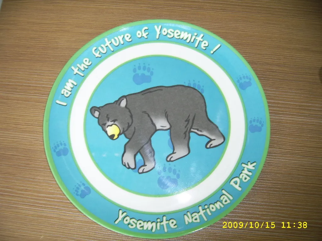 Durable Melamine Plates