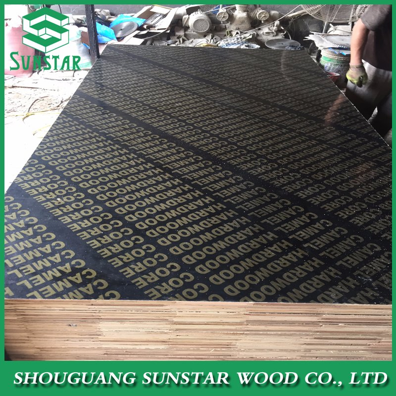 12mm 15mm 18mm Marine Plywood Film Faced Plywood for Construction with Factory Price