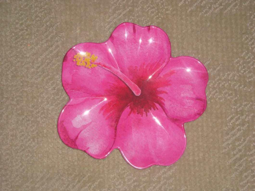 Melamine Dinnerware Gallery