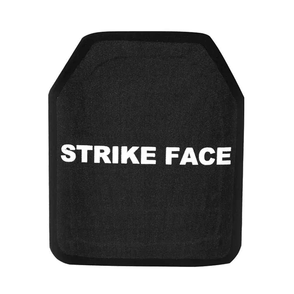 Strike Face Plate 2