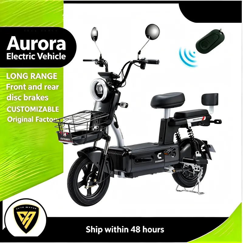 High-Quality Practical Twoseat City Commute EBike Factories, Factory