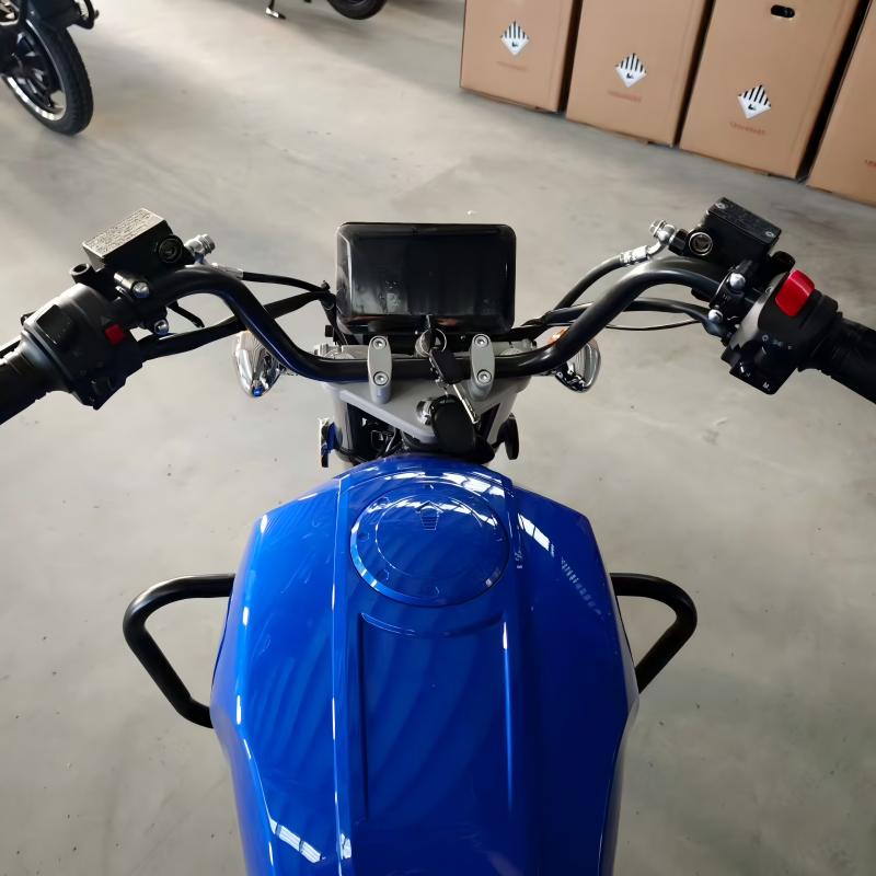 Retro Cargo Electric Motorcycle details 6