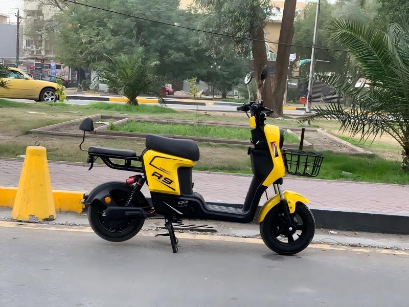 R9 cargo electric scooter front view