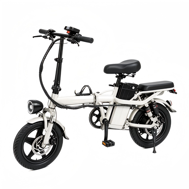 Folding Electric Bike storage